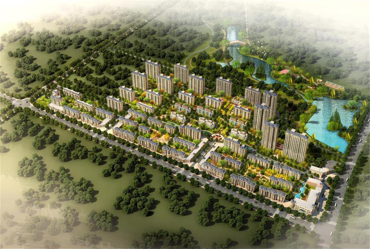 细闻盛世桂花香 共建一地绿城美(图3)