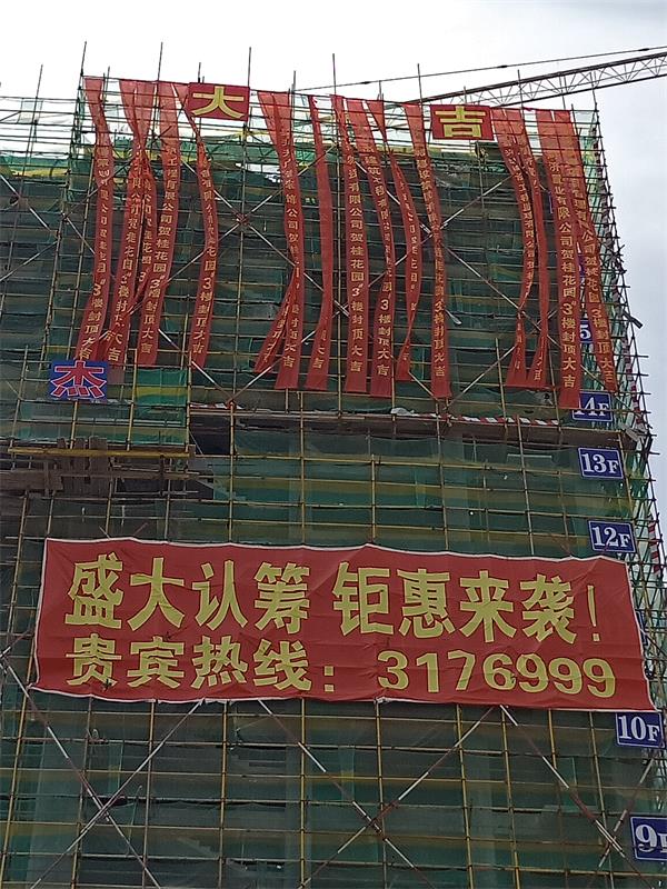 济宁金乡桂花园北区项目施工进度图(图7)